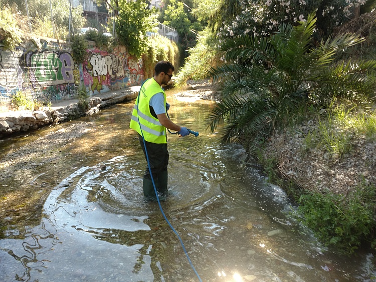 rema_pikrodafnhs_cekasmoi_2019