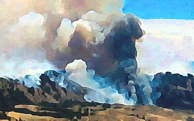 pyrkagia