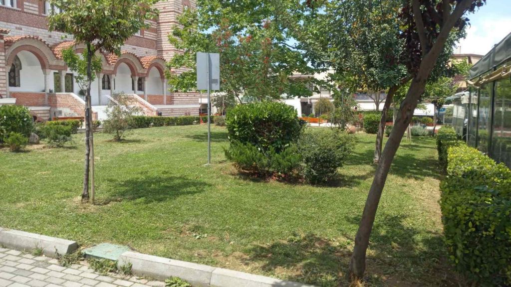 prasino_ioynios_2020_01
