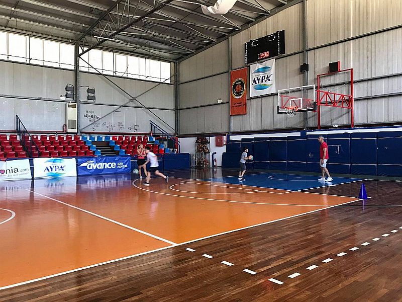 ghpedo_basket