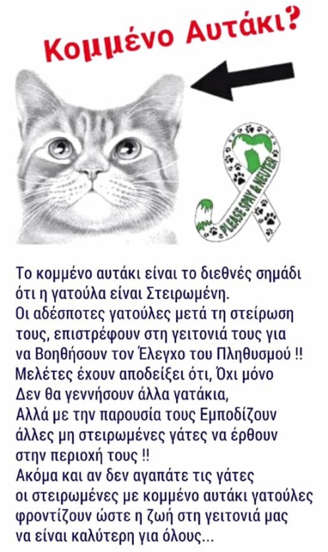 adespota_kommeno_ayti_2019