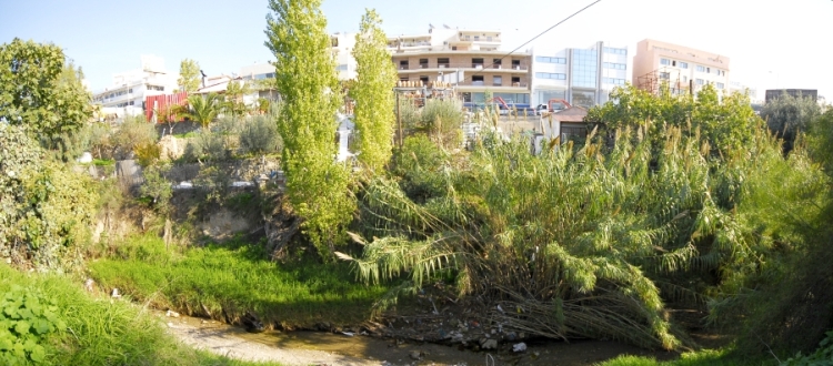 rema_pikrodafnhs_oriourthsh_2021